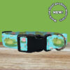 Blue Frog Dog Collar