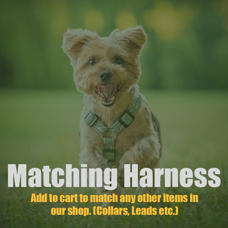 Matching Harness - Y Front Style