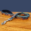 Sunset Dog Lead