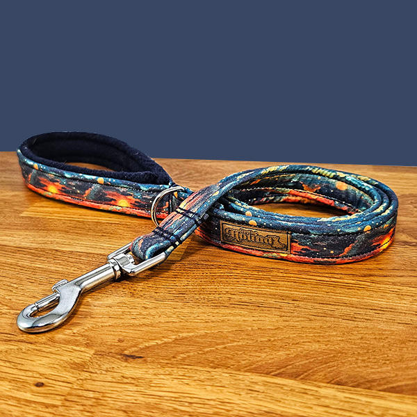 Sunset Dog Lead