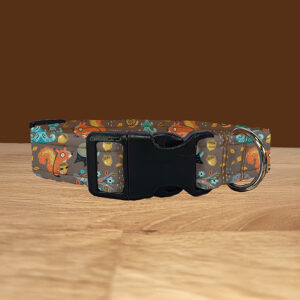 Squirrel Autumn Dog Collar