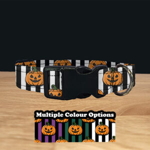 Striped Pumpkin Dog Collar