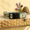Olive Bumble Bee Dog Collar